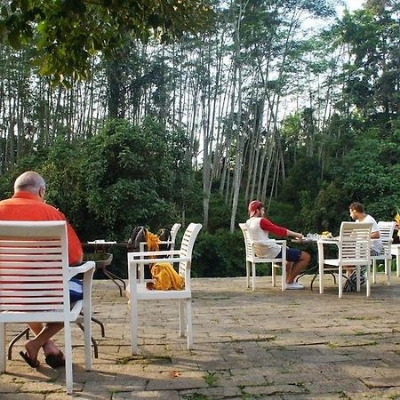Hotel Yeh Panes Bali Marga Zewnętrze zdjęcie